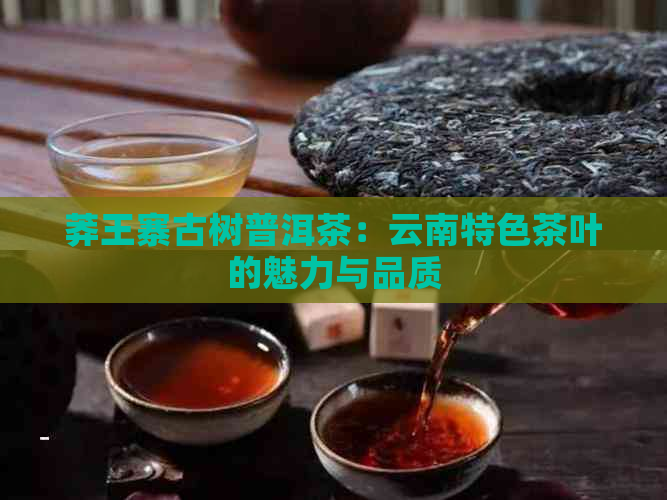 莽王寨古树普洱茶：云南特色茶叶的魅力与品质