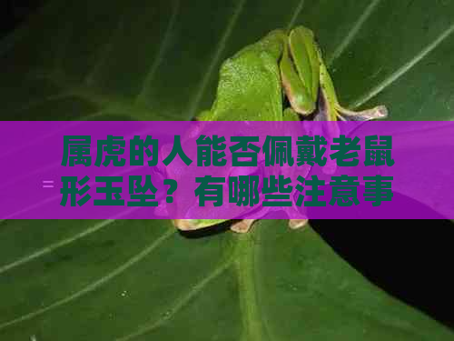 属虎的人能否佩戴老鼠形玉坠？有哪些注意事项？