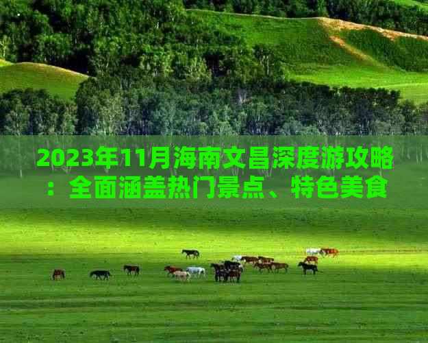 2023年11月海南文昌深度游攻略：全面涵盖热门景点、特色美食与住宿指南