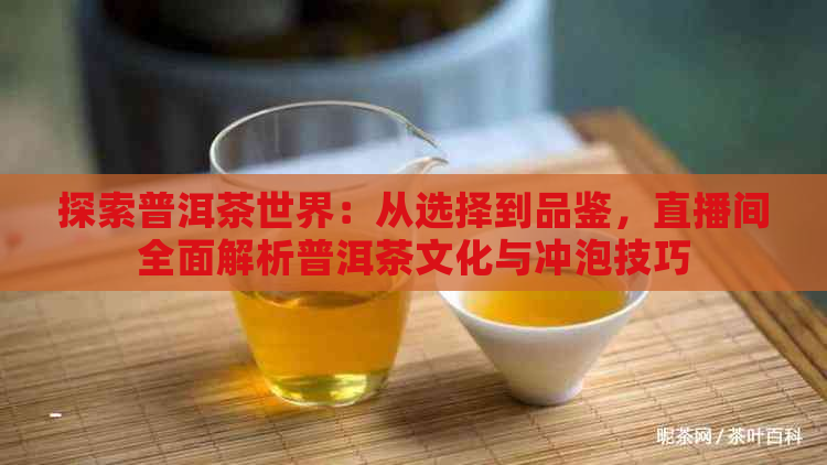 探索普洱茶世界：从选择到品鉴，直播间全面解析普洱茶文化与冲泡技巧