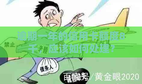 逾期一年的信用卡额度8千，应该如何处理？