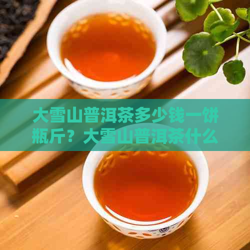 大雪山普洱茶多少钱一饼瓶斤？大雪山普洱茶什么档次？