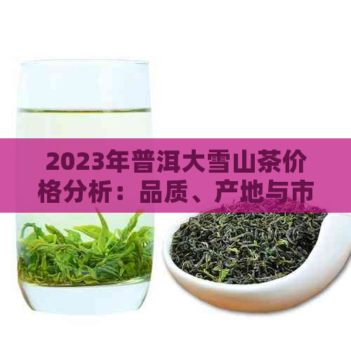 2023年普洱大雪山茶价格分析：品质、产地与市场趋势