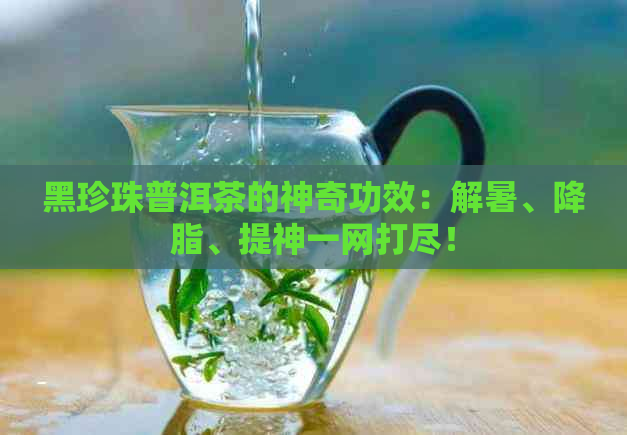 黑珍珠普洱茶的神奇功效：解暑、降脂、提神一网打尽！