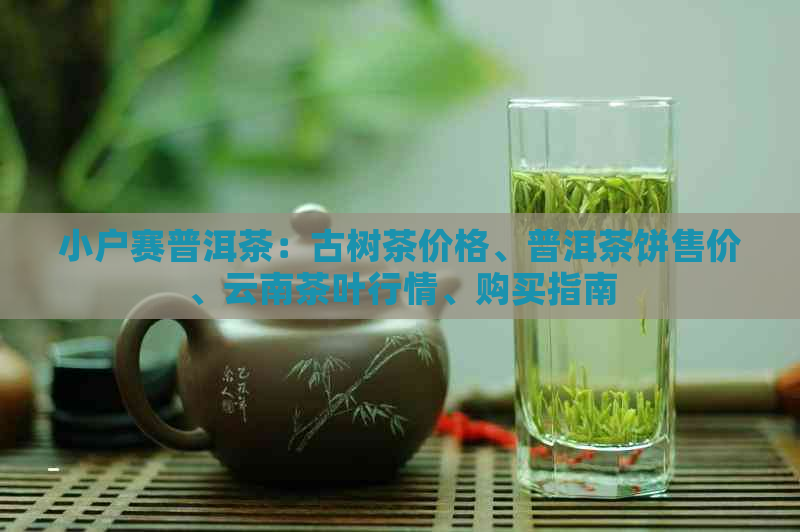 小户赛普洱茶：古树茶价格、普洱茶饼售价、云南茶叶行情、购买指南