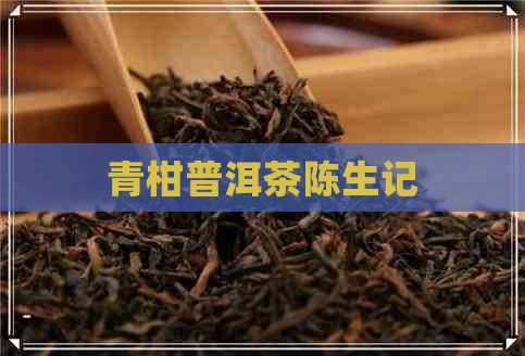 青柑普洱茶陈生记