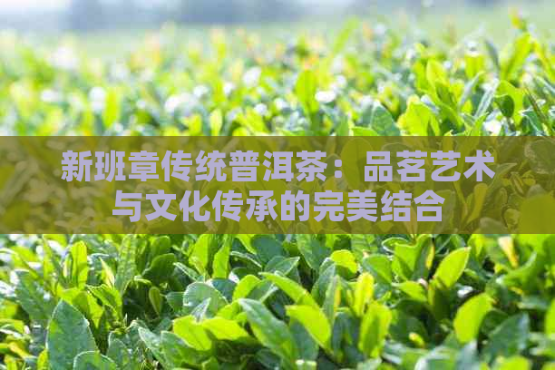 新班章传统普洱茶：品茗艺术与文化传承的完美结合