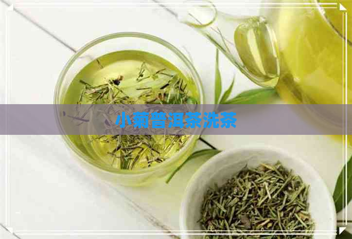 小菊普洱茶洗茶