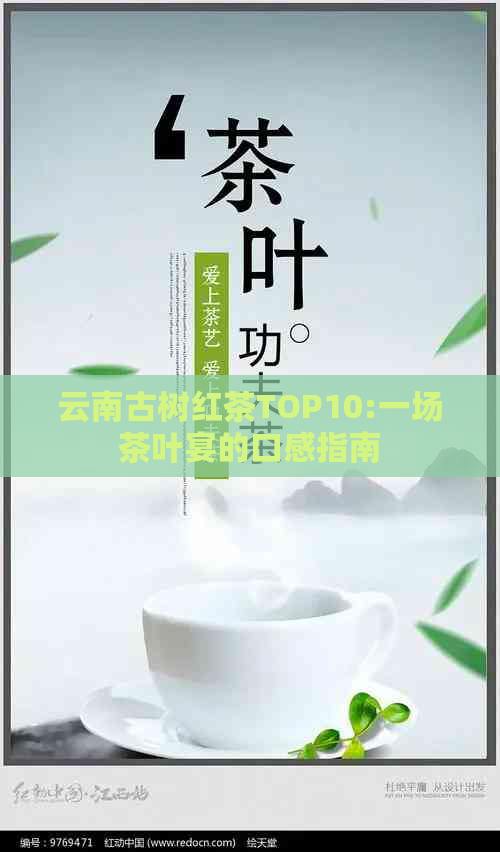 云南古树红茶TOP10:一场茶叶宴的口感指南