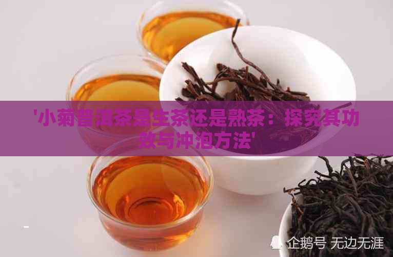 '小菊普洱茶是生茶还是熟茶：探究其功效与冲泡方法'