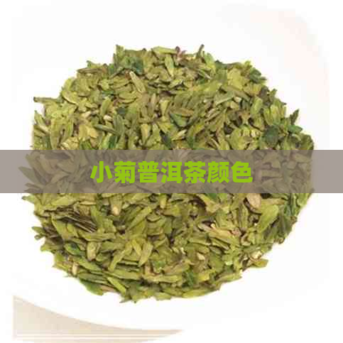 小菊普洱茶颜色