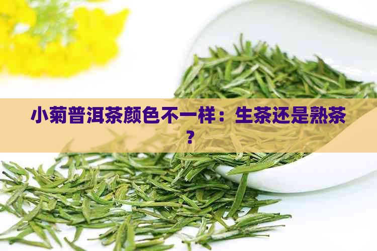 小菊普洱茶颜色不一样：生茶还是熟茶？