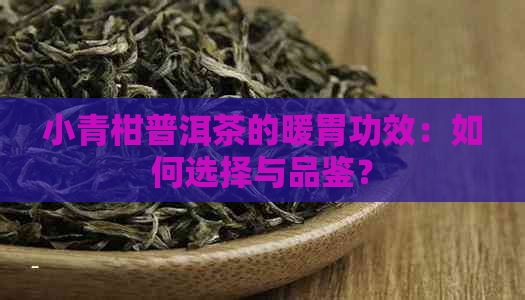 小青柑普洱茶的暖胃功效：如何选择与品鉴？