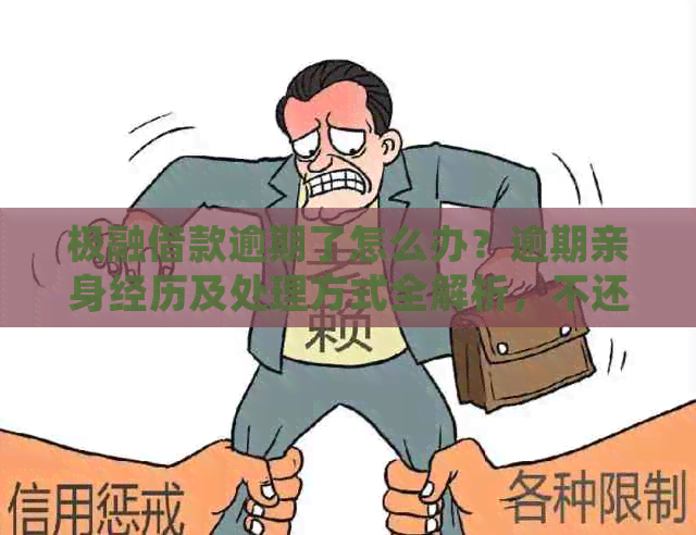 极融借款逾期了怎么办？逾期亲身经历及处理方式全解析，不还上吗？