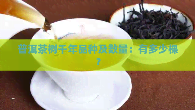 普洱茶树千年品种及数量：有多少棵？