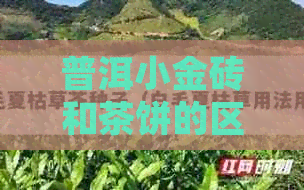 普洱小金砖和茶饼的区别：红茶还是普洱茶？