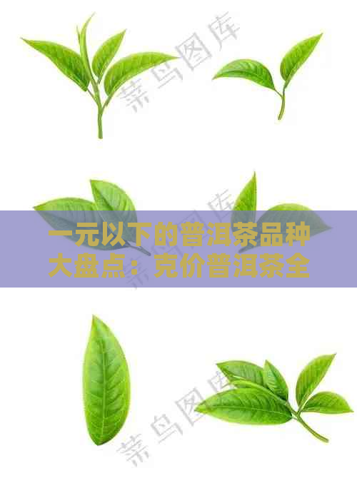 一元以下的普洱茶品种大盘点：克价普洱茶全解，价格与品质兼具