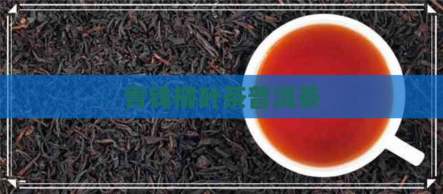 青钱柳叶茶普洱茶