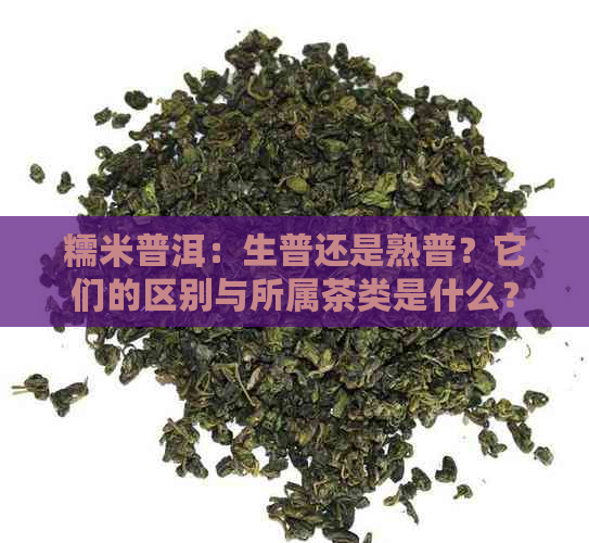 糯米普洱：生普还是熟普？它们的区别与所属茶类是什么？