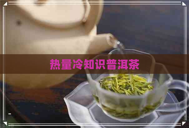 热量冷知识普洱茶