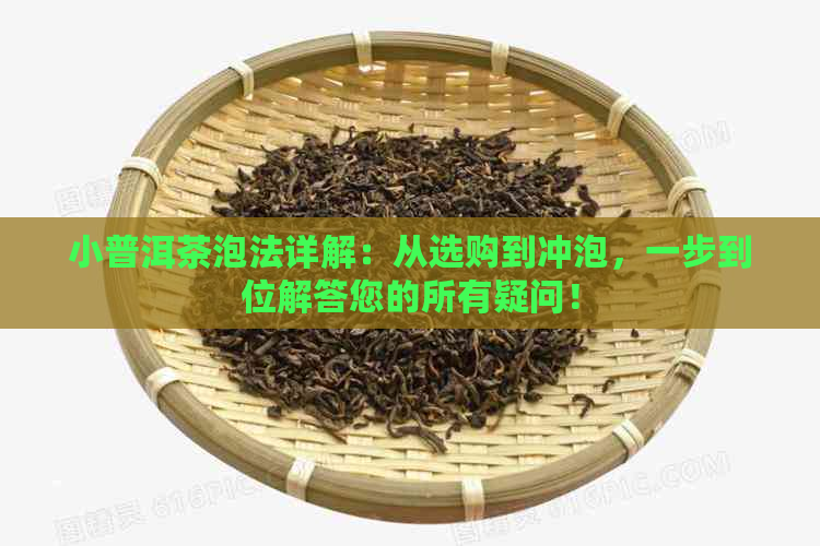 小普洱茶泡法详解：从选购到冲泡，一步到位解答您的所有疑问！