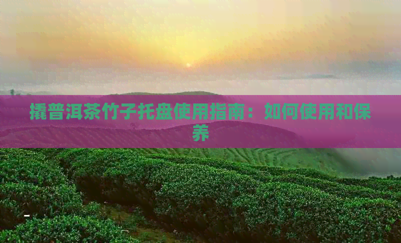 撬普洱茶竹子托盘使用指南：如何使用和保养