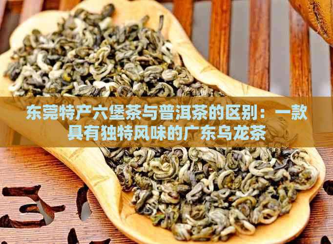 东莞特产六堡茶与普洱茶的区别：一款具有独特风味的广东乌龙茶