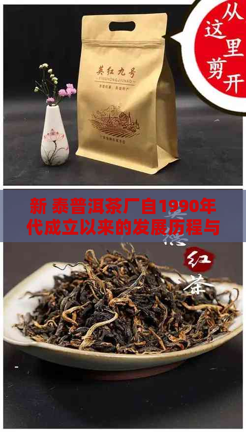 新 泰普洱茶厂自1990年代成立以来的发展历程与现代化改进