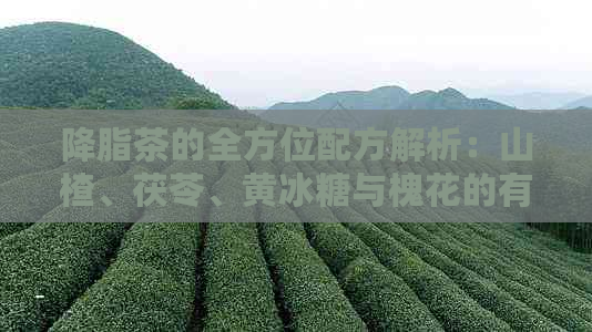 降脂茶的全方位配方解析：山楂、茯苓、黄冰糖与槐花的有效搭配