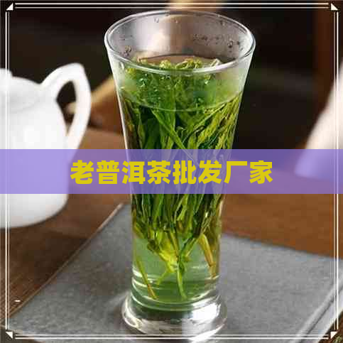 老普洱茶批发厂家