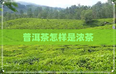 普洱茶怎样是浓茶