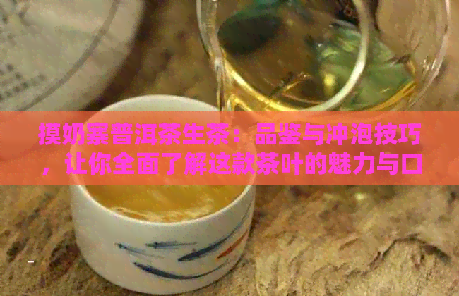      寨普洱茶生茶：品鉴与冲泡技巧，让你全面了解这款茶叶的魅力与口感