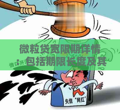 微粒贷宽限期详情：包括期限长度及其他可能的期选项