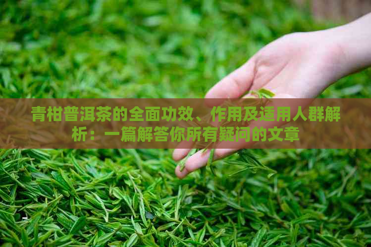 青柑普洱茶的全面功效、作用及适用人群解析：一篇解答你所有疑问的文章