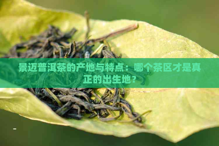 景迈普洱茶的产地与特点：哪个茶区才是真正的出生地？