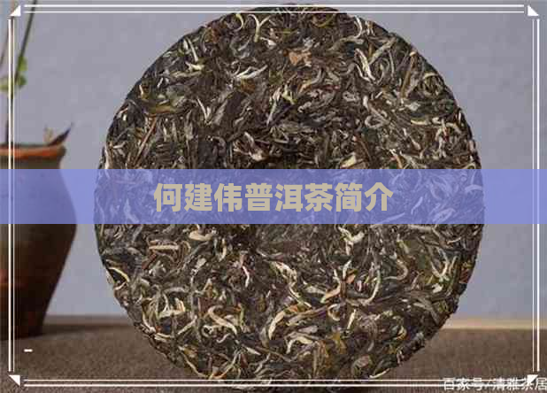 何建伟普洱茶简介