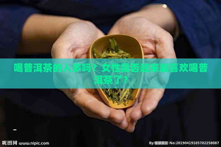 喝普洱茶的人多吗？女性是否越来越喜欢喝普洱茶了？