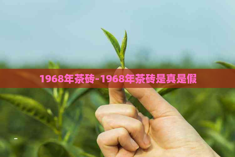 1968年茶砖-1968年茶砖是真是假