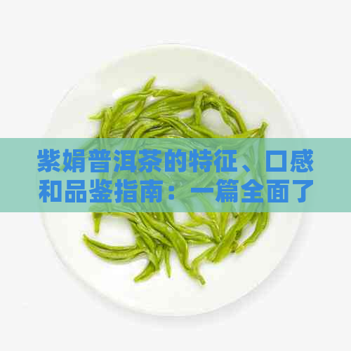 紫娟普洱茶的特征、口感和品鉴指南：一篇全面了解的详尽文章