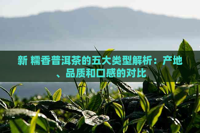 新 糯香普洱茶的五大类型解析：产地、品质和口感的对比