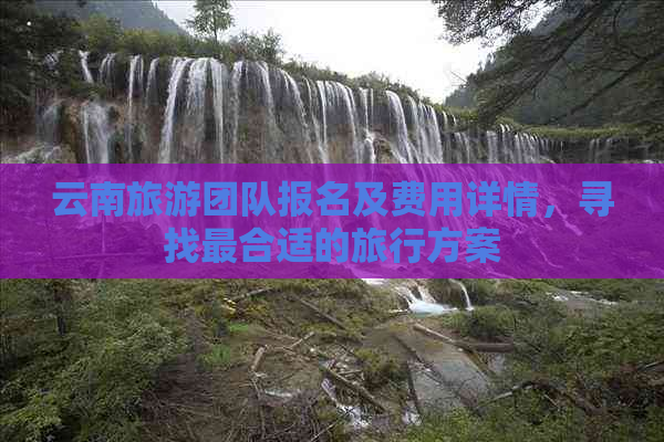 云南旅游团队报名及费用详情，寻找最合适的旅行方案