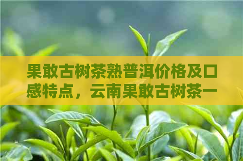 果敢古树茶熟普洱价格及口感特点，云南果敢古树茶一斤多少钱？值得收藏吗？