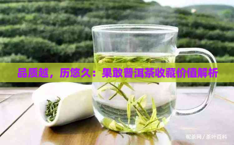 品质越，历悠久：果敢普洱茶收藏价值解析