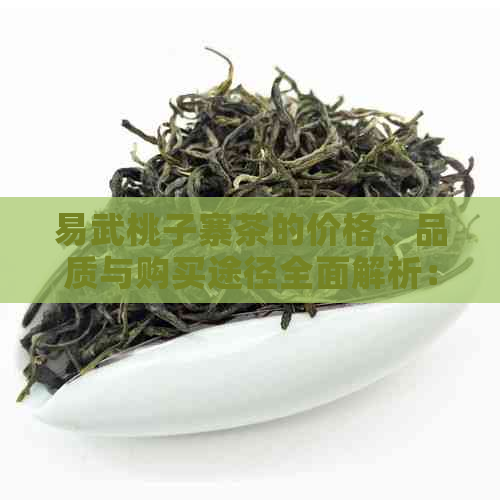 易武桃子寨茶的价格、品质与购买途径全面解析：你需要了解的一切