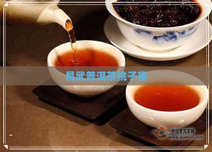 易武普洱茶桃子寨