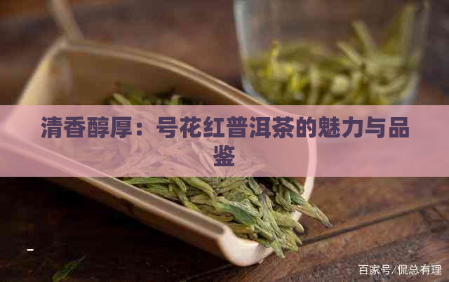 清香醇厚：号花红普洱茶的魅力与品鉴