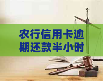 农行信用卡逾期还款半小时可能带来的后果及解决方法