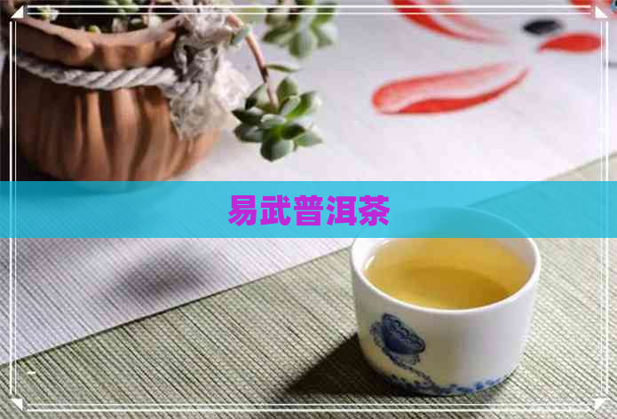 易武普洱茶