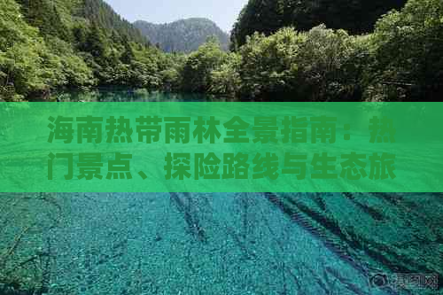 海南热带雨林全景指南：热门景点、探险路线与生态旅游攻略