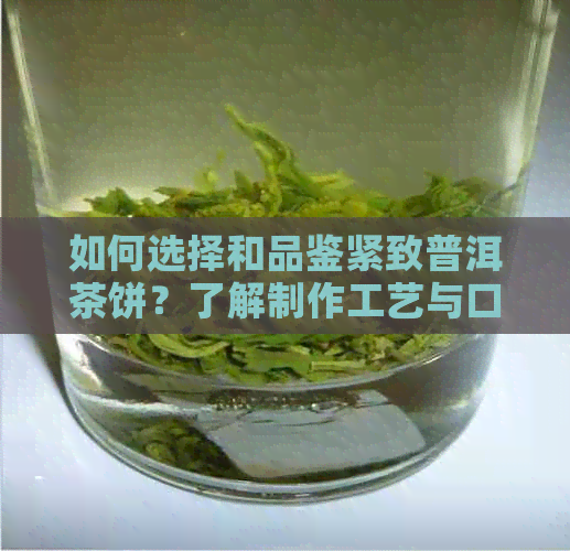 如何选择和品鉴紧致普洱茶饼？了解制作工艺与口感特点的全面指南